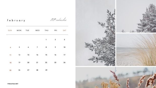 Free download February 2024 Calendar Wallpaper.