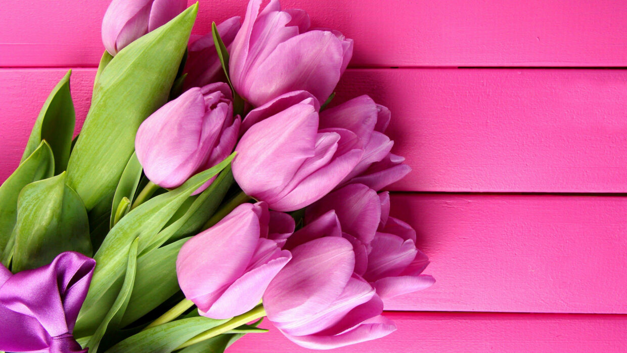 Pink Desktop Backgrounds - PixelsTalk