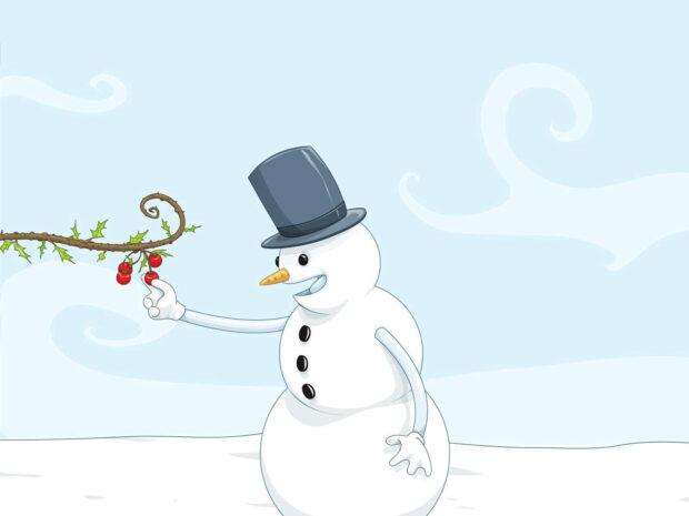 Gray Hat Snowman Wallpaper HD.