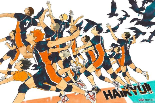 Haikyuu Computer Wallpaper HD.