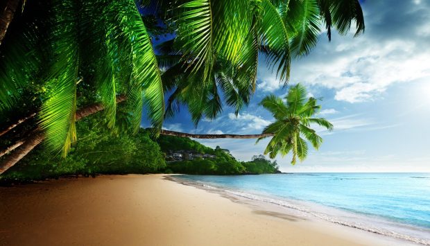 Hawaii Beach Background HD.