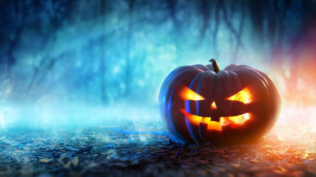 Jack o' Lantern Halloween Backgrounds High Resolution.
