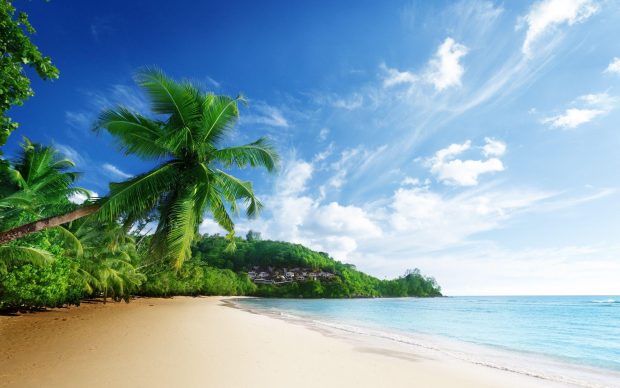 Laptop Beach Background HD.