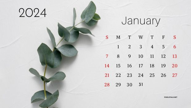 Minimalist January 2024 Calendar Wallpaper.