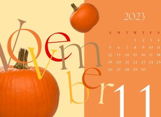 November 2023 Calendar Wallpaper Desktop.