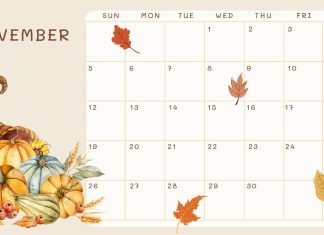 November 2023 Calendar Wallpaper HD Free download.