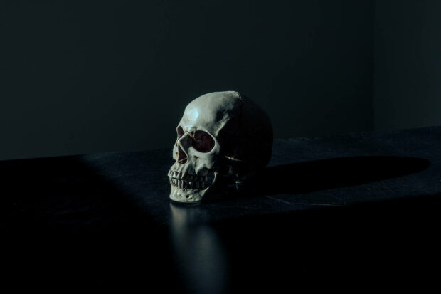 Paranormal Dark Anime Skull Desktop Background.
