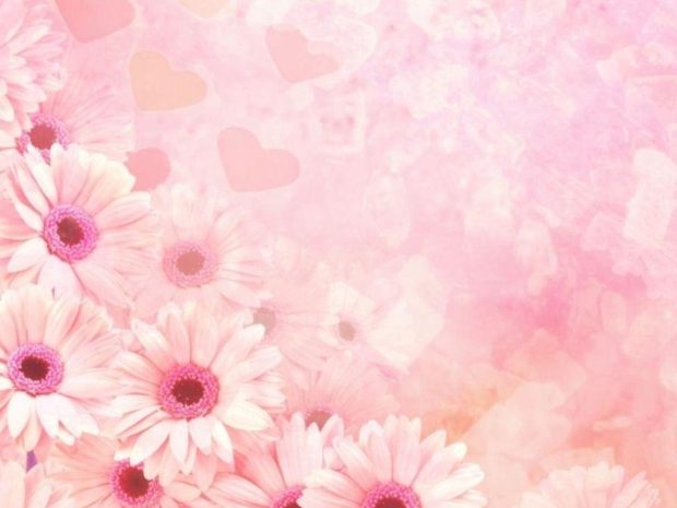 Pink Wide Screen Background.