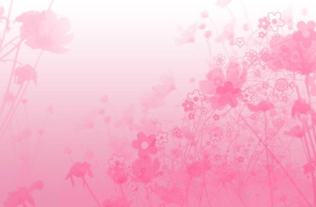 Pink Wide Screen Background HD.
