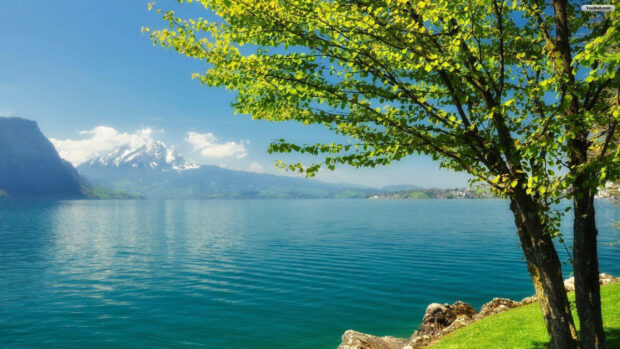 Quiet Spring Scenery Wallpaper.