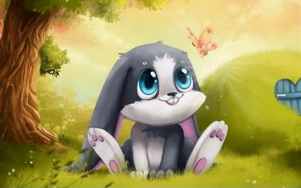 Rabit Cute Backgrounds HD.