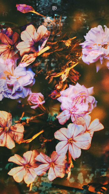 Season with Aesthetic Spring Wallpaper.