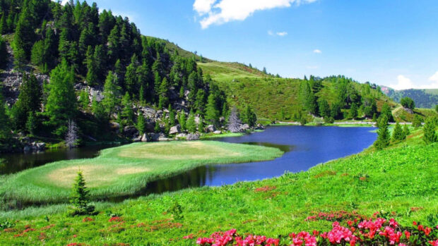 Serene Spring Landscape with Crystal Clear Lake and Lush Green Foliage Wallpaper.