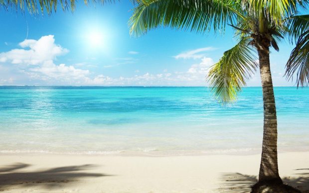 Shinning Beach Background HD.