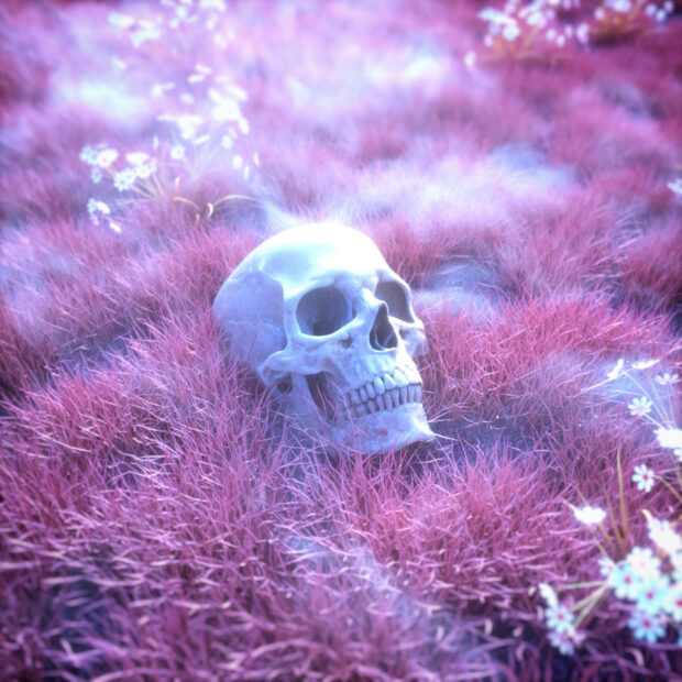 Skeleton Pink Skull Background.