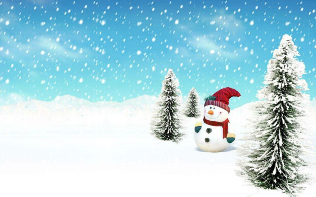 Snowman In Winter Field Background.