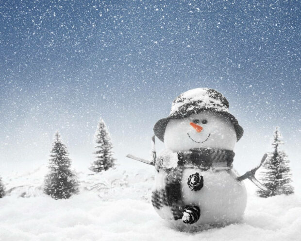 Snowman in Winter Wonderland Wallpaper.