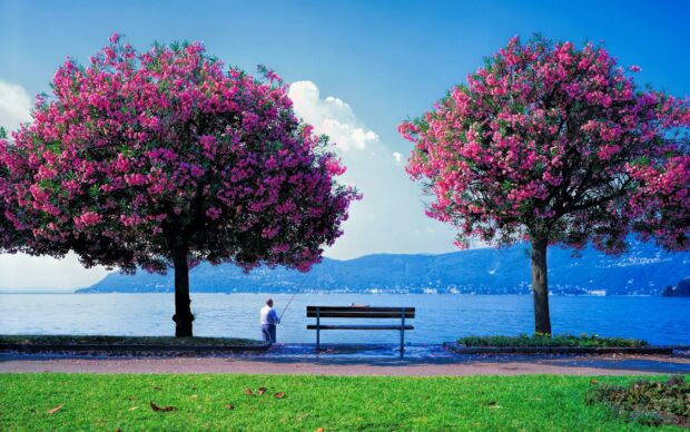 Spring Landscape Wallpaper HD download free.