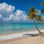 8K Summer Desktop Wallpaper featuring a palm fringed beach against a backdrop of azure skies and fluffy white clouds.