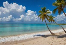 8K Summer Desktop Wallpaper featuring a palm fringed beach against a backdrop of azure skies and fluffy white clouds.