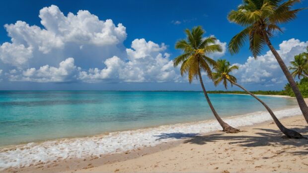8K Summer Desktop Wallpaper featuring a palm fringed beach against a backdrop of azure skies and fluffy white clouds.