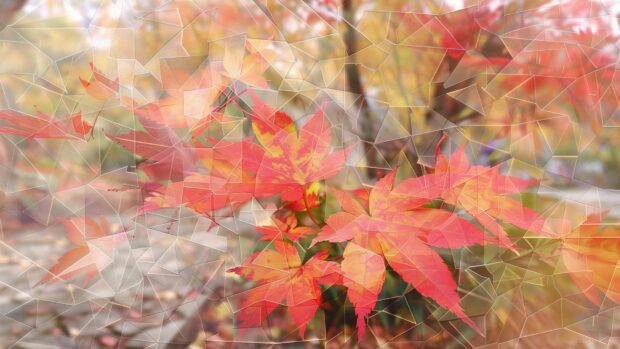 Aesthetic Fall Wallpaper capturing the essence of the autumn season in a visually stunning composition.