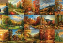 Aesthetic Fall collage featuring a variety of autumn scenes with colorful foliage, pumpkin patches, winding forest paths.