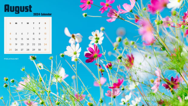 August 2024 Calendar Wallpaper HD 1080p.