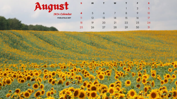 August 2024 Desktop Picture.