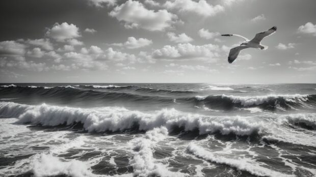 Black and White Summer wallpaper with a minimalist seascape, featuring rolling waves and a lone seagull in flight.
