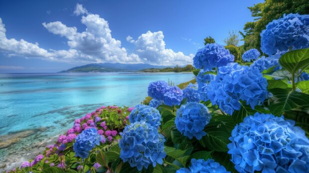 Blue Hydrangea Flowers Near The Sea Wallpaper.