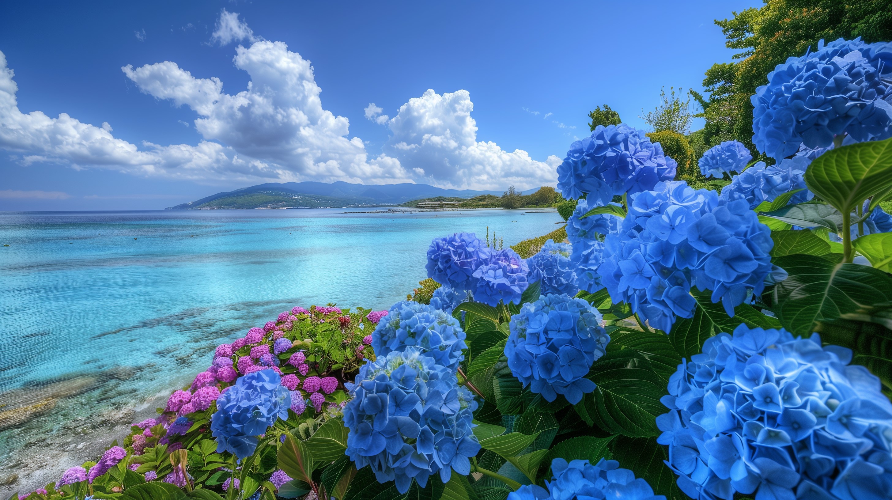 Hydrangea Wallpaper For Desktop PixelsTalk