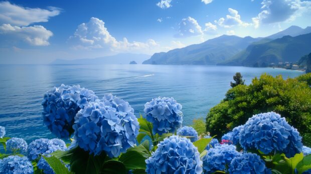 Blue Hydrangea Near The Sea Wallpaper HD.