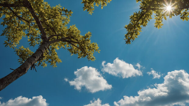 Clear blue sky, sunlight in the summer sky wallpaper.
