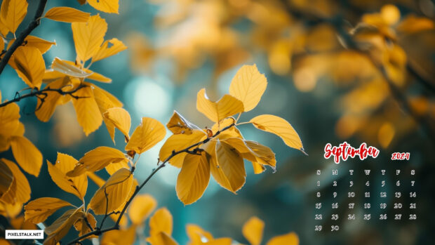 Cool September 2024 Calendar Wallpaper HD.