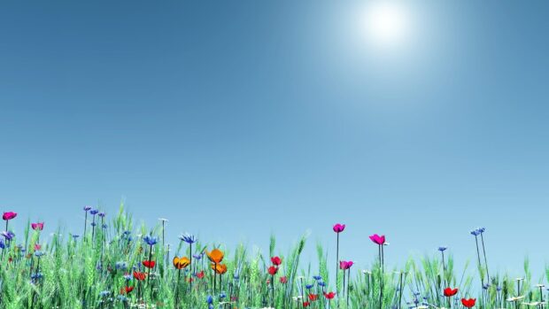 Cute Spring Background.