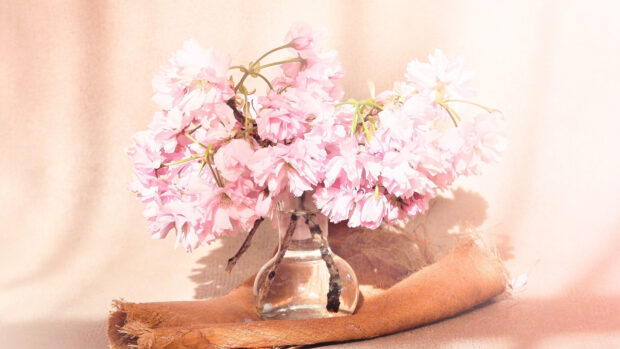 Flower Spring Desktop Wallpaper HD 1080p.