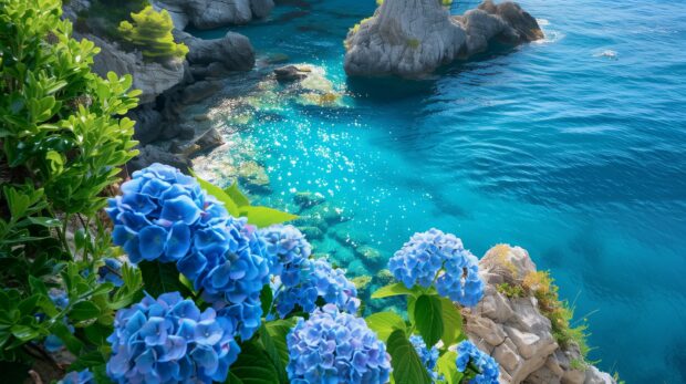 Free Blue Hydrangea Flowers Near The Sea Wallpaper.