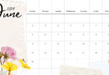 Free Download June 2024 Calendar Backgrounds for Desktop.
