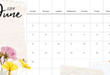 Free Download June 2024 Calendar Backgrounds for Desktop.