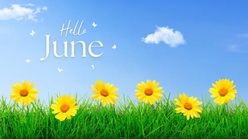 June Wallpapers HD - PixelsTalk