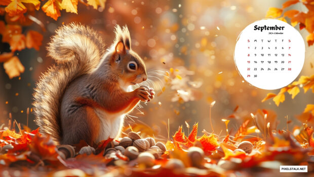 Free Download September 2024 Calendar Wallpaper for  Mac.