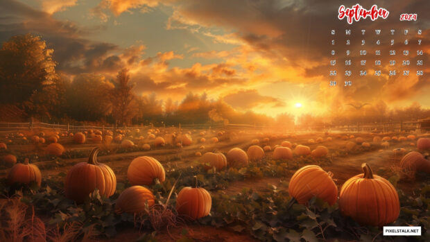 Free Download September 2024 Calendar Wallpaper for Windows.
