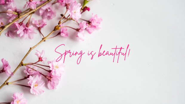 Free Download Spring Backgrounds HD for Desktop.