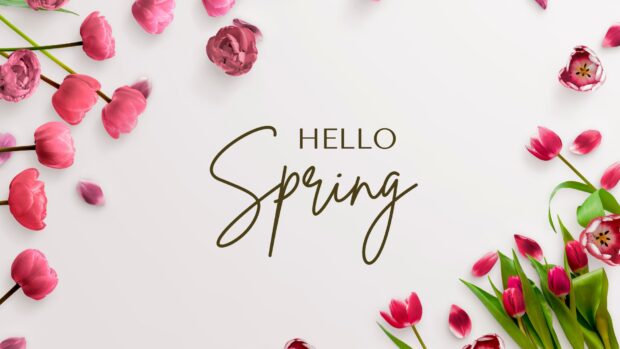 Hello Spring Backgrounds 1080p.