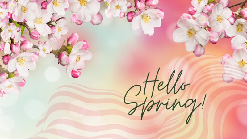 Cute Spring Computer Wallpapers HD - PixelsTalk