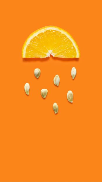 Hello Summer Wallpaper for iPhone (3).