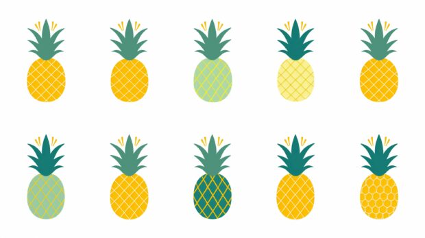 PINEAP~2.