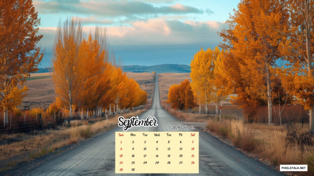 Quiet country road lined with autumn trees september 2024.