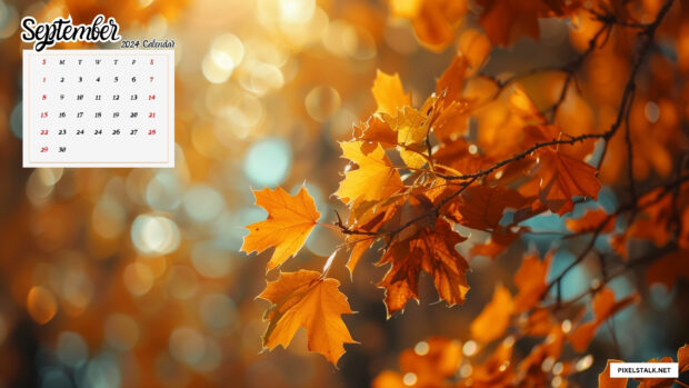 September 2024 Desktop Wallpaper 1920x1080 (3).